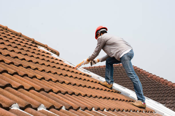 Best Metal Roofing Installation  in Calais, ME