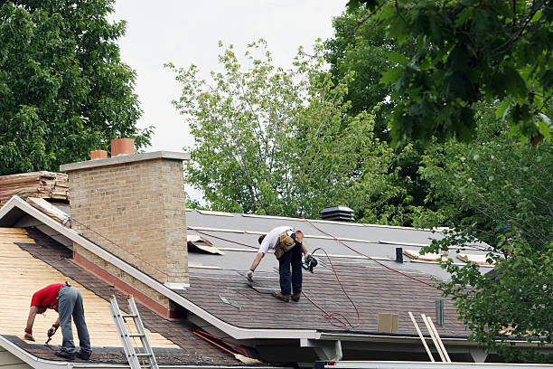 Best Roof Insulation Installation  in Calais, ME
